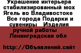 Украшение интерьера стабилизированный мох Ягель во Владивостоке - Все города Подарки и сувениры » Изделия ручной работы   . Ленинградская обл.